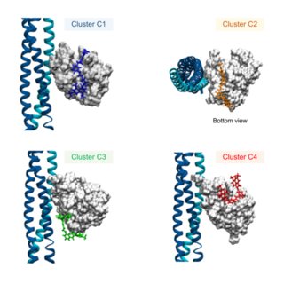 Produzione e caratterizzazione di proteine, drug discovery e drug delivery