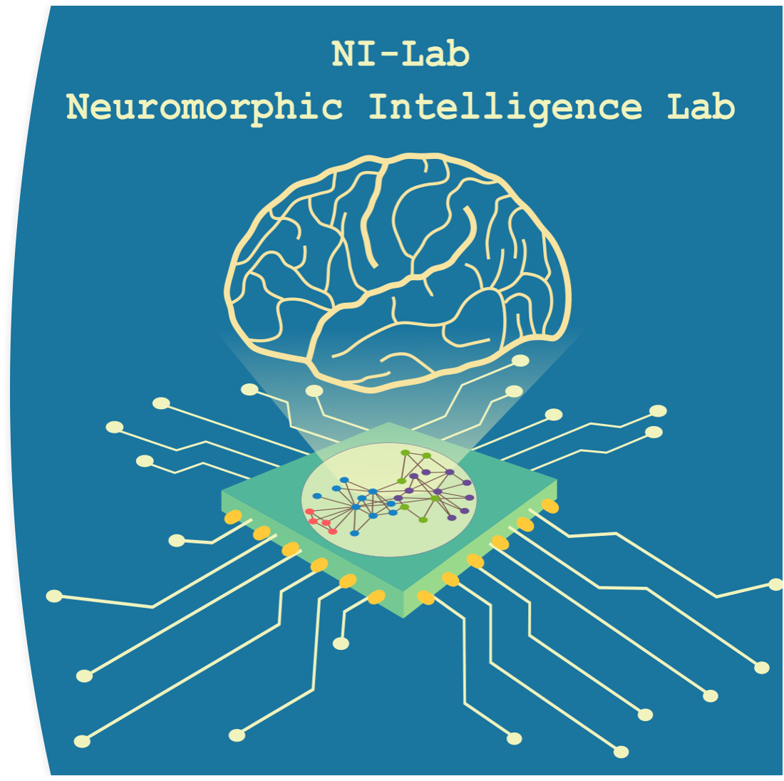 Raccolta dati da tessuto umano con metodi elettrofisiologici e di imaging e Sviluppo di modelli computazionali data-driven di aree cerebrali estese