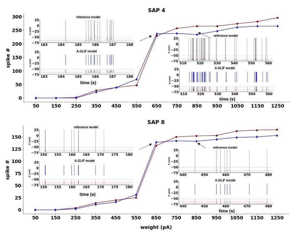 Sviluppo di modelli data-driven di neuroni e generazione di popolazioni eterogenee per reti neuronali spiking