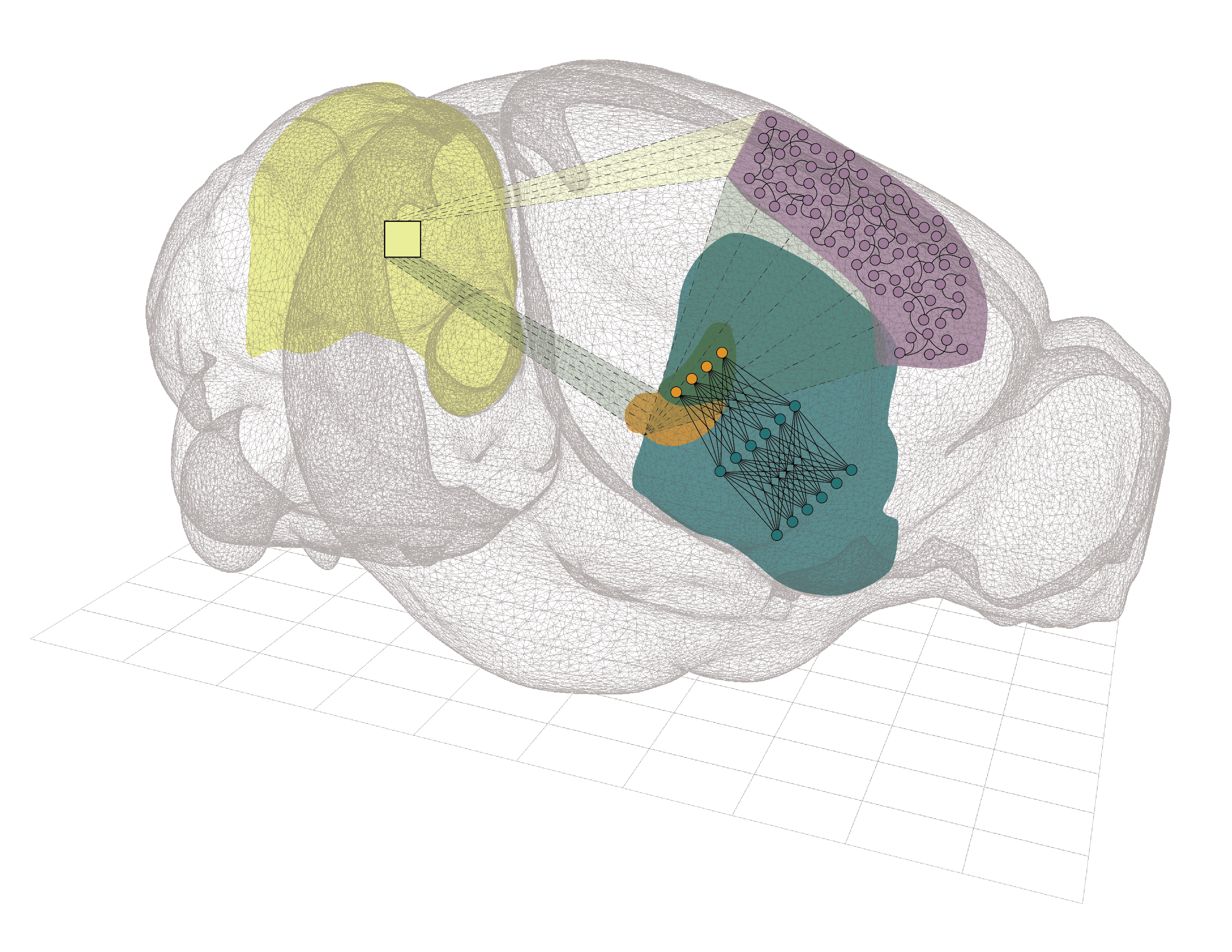 Sviluppo di reti neurali di tipo spiking e di modelli avanzati di neuroni, astrociti e plasticità neurale